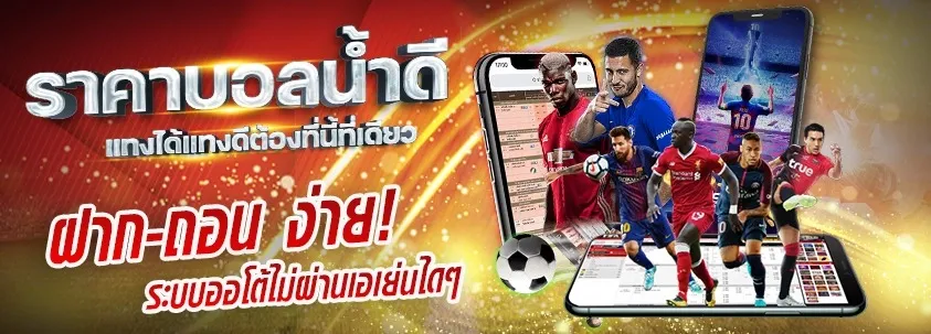 kuบาคาร่า